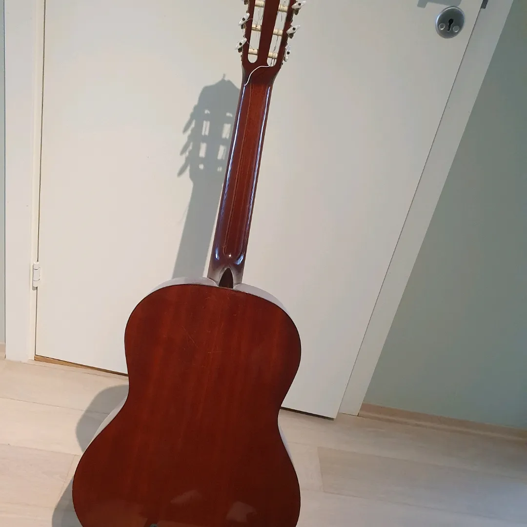 Akustisk Gitar