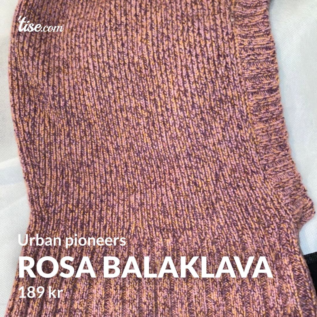 Rosa balaklava