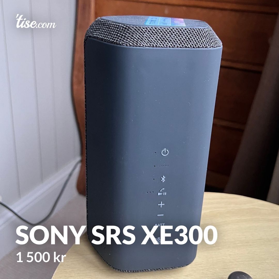 Sony SRS XE300