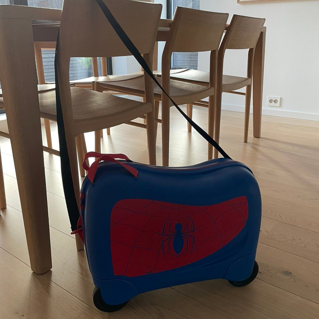 Samsonite dream 2 go