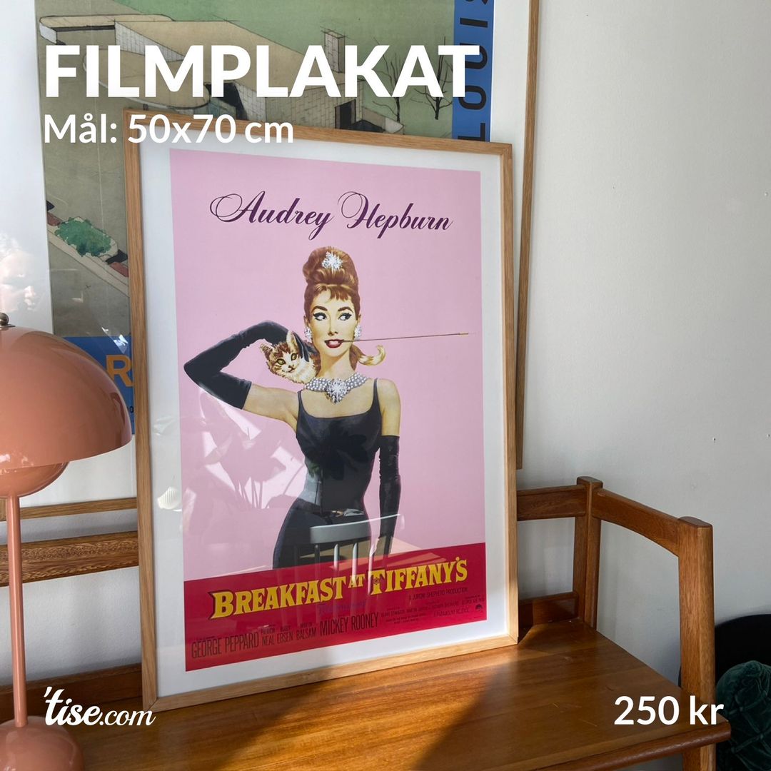 Filmplakat