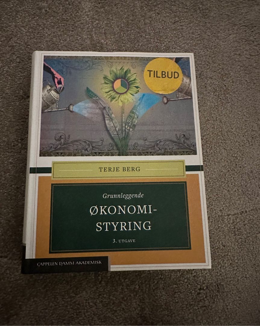 Økonomi styring