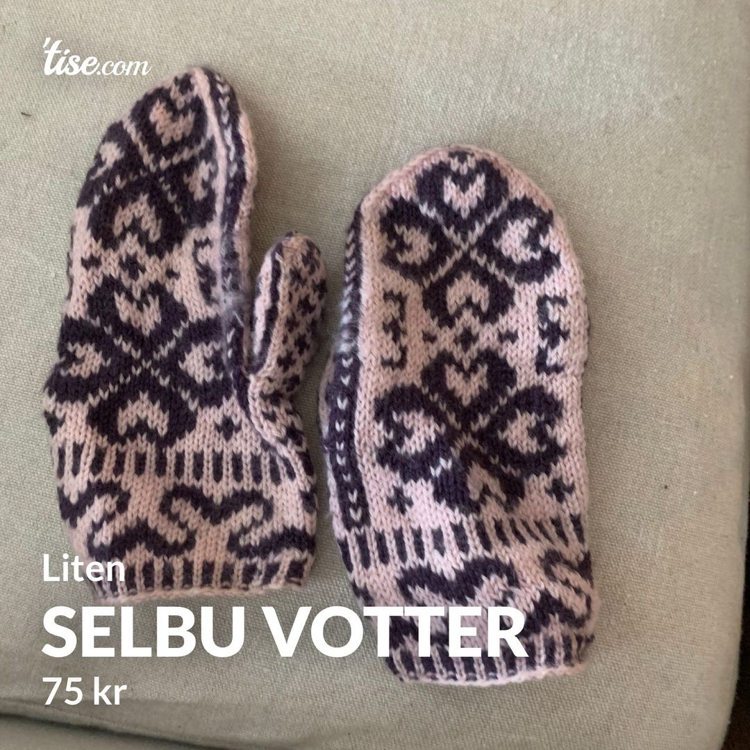 Selbu votter