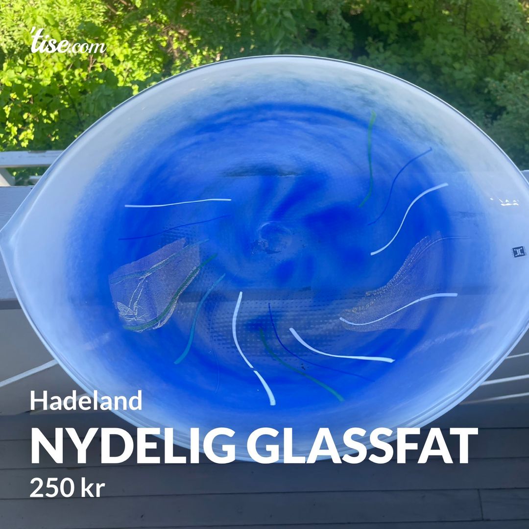 Nydelig glassfat