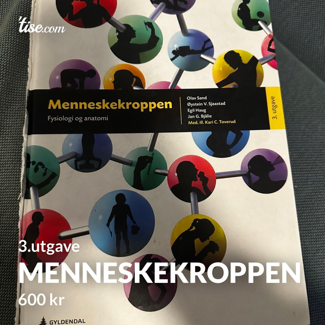 Menneskekroppen