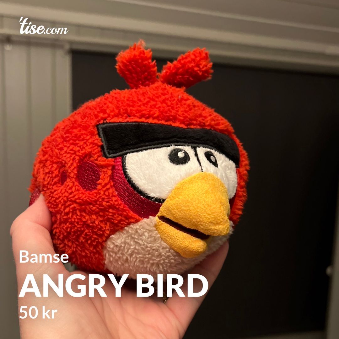 Angry bird