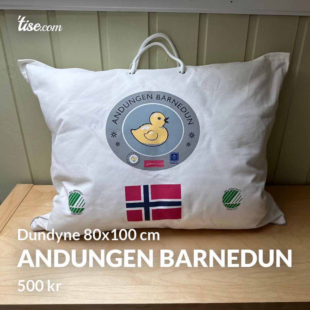 Andungen barnedun