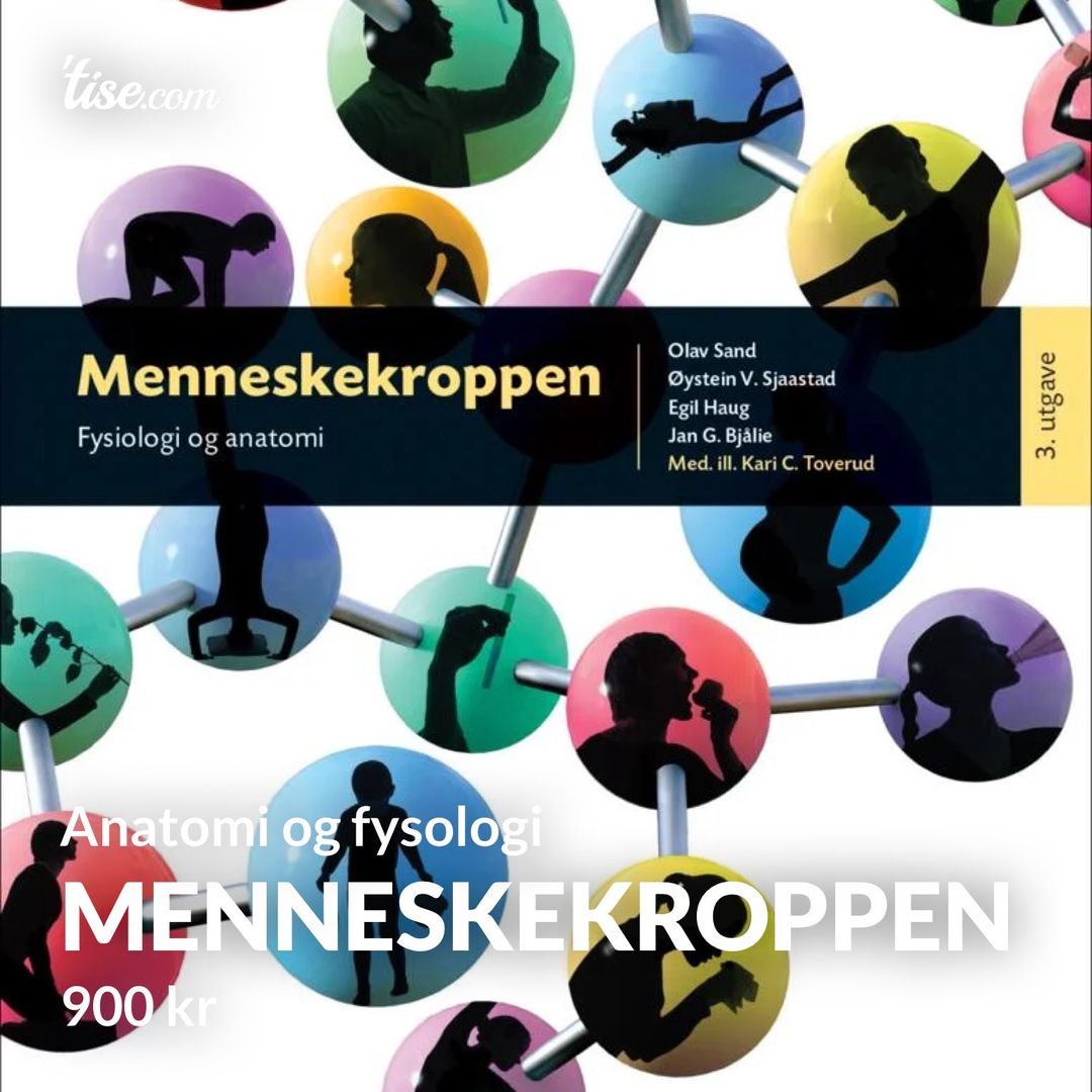 Menneskekroppen