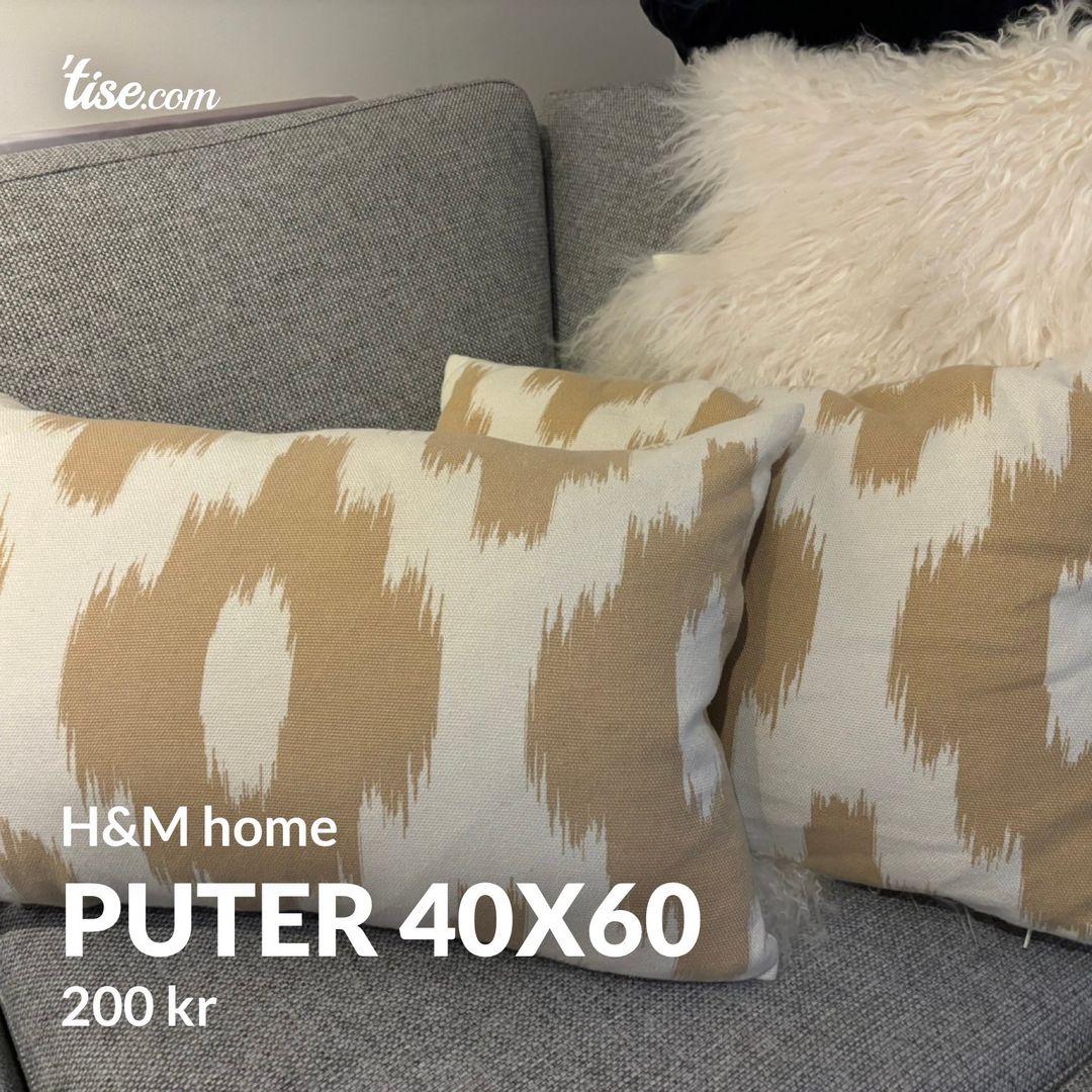 Puter 40x60