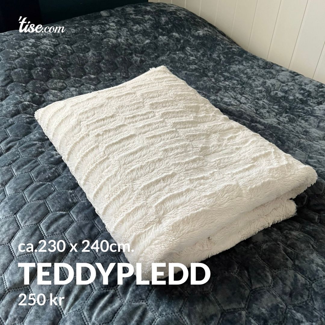 Teddypledd