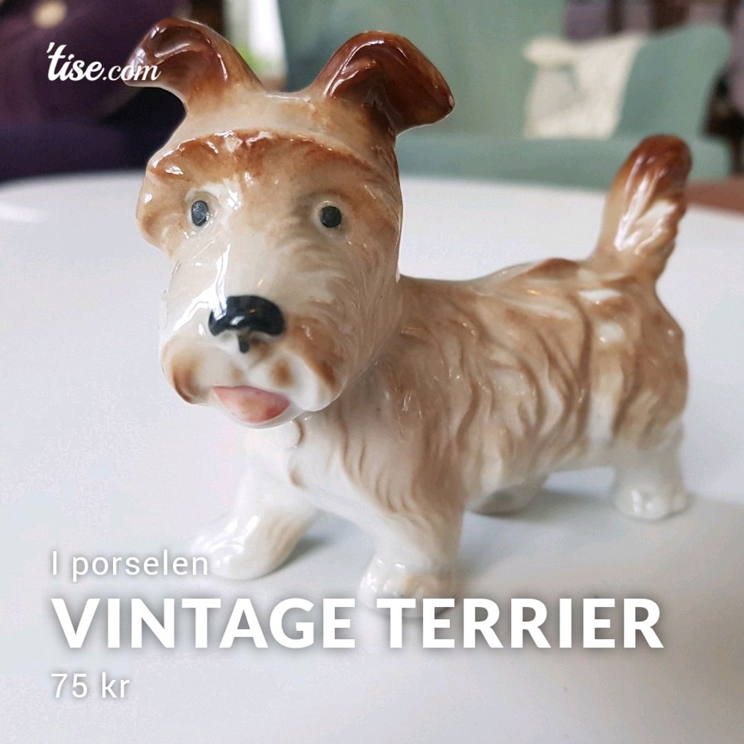 Vintage Terrier