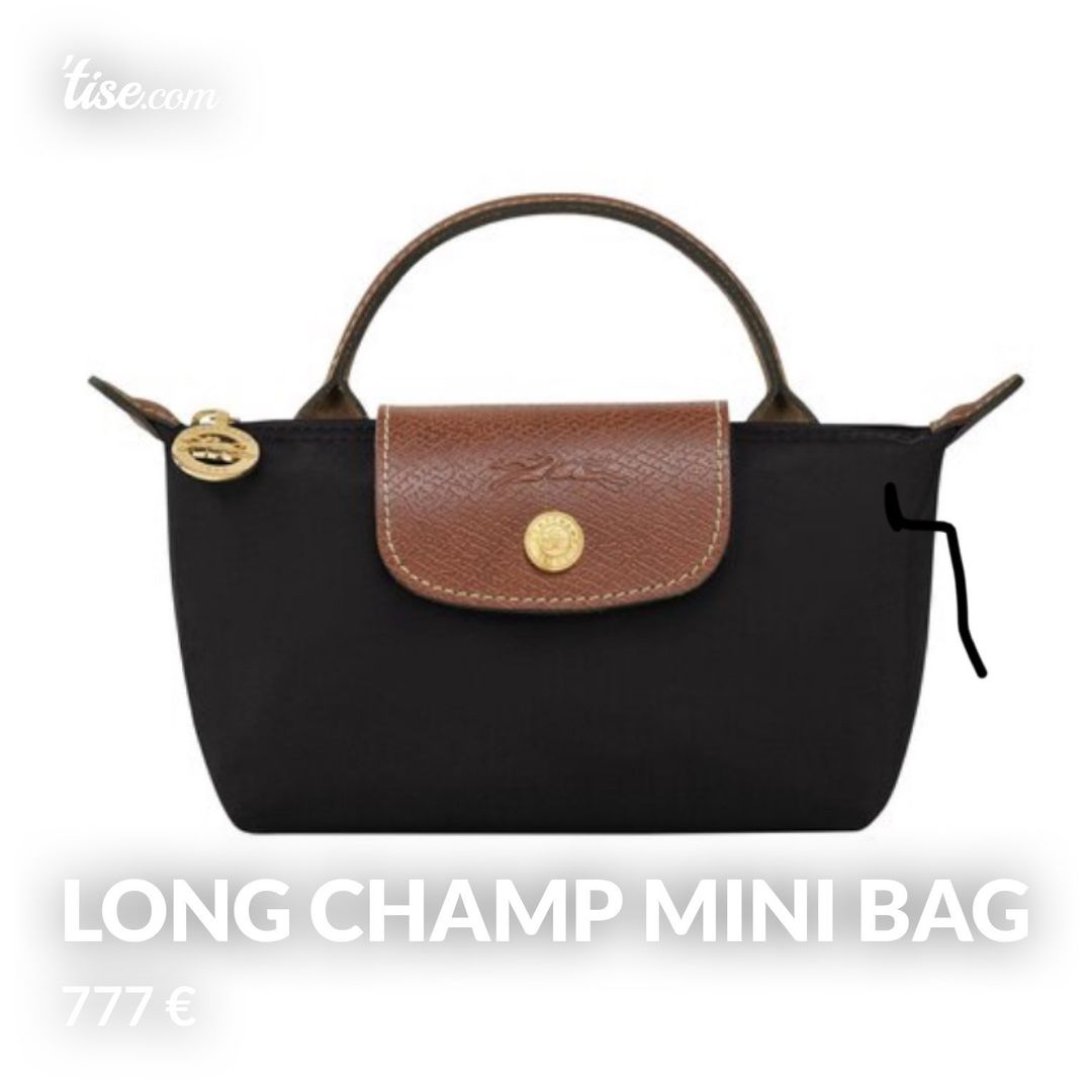 Long champ mini bag