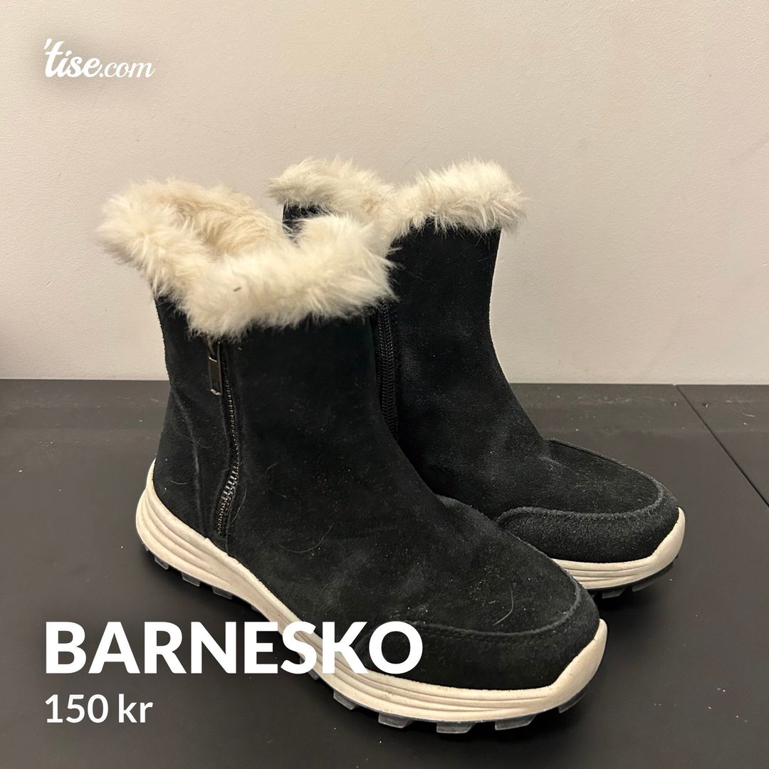 Barnesko