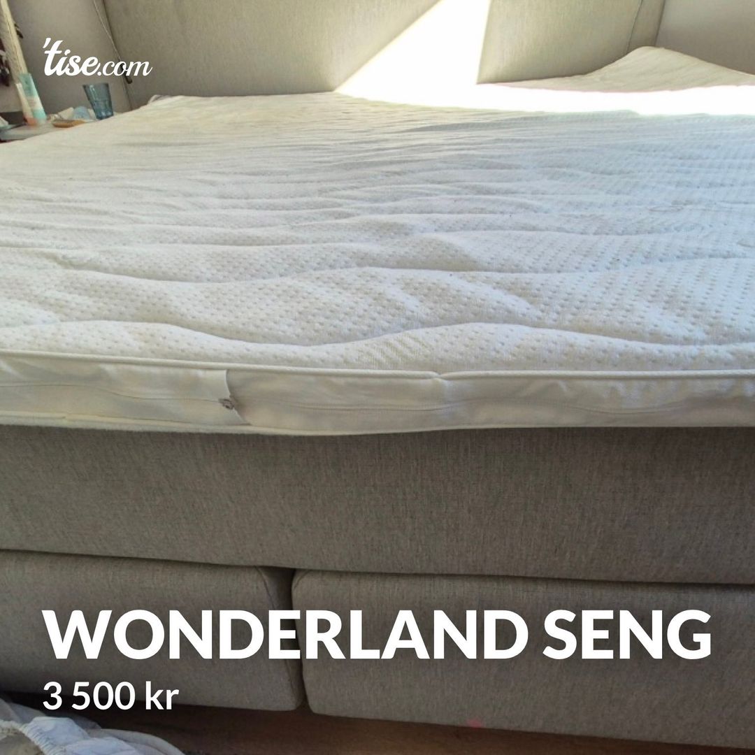 Wonderland seng