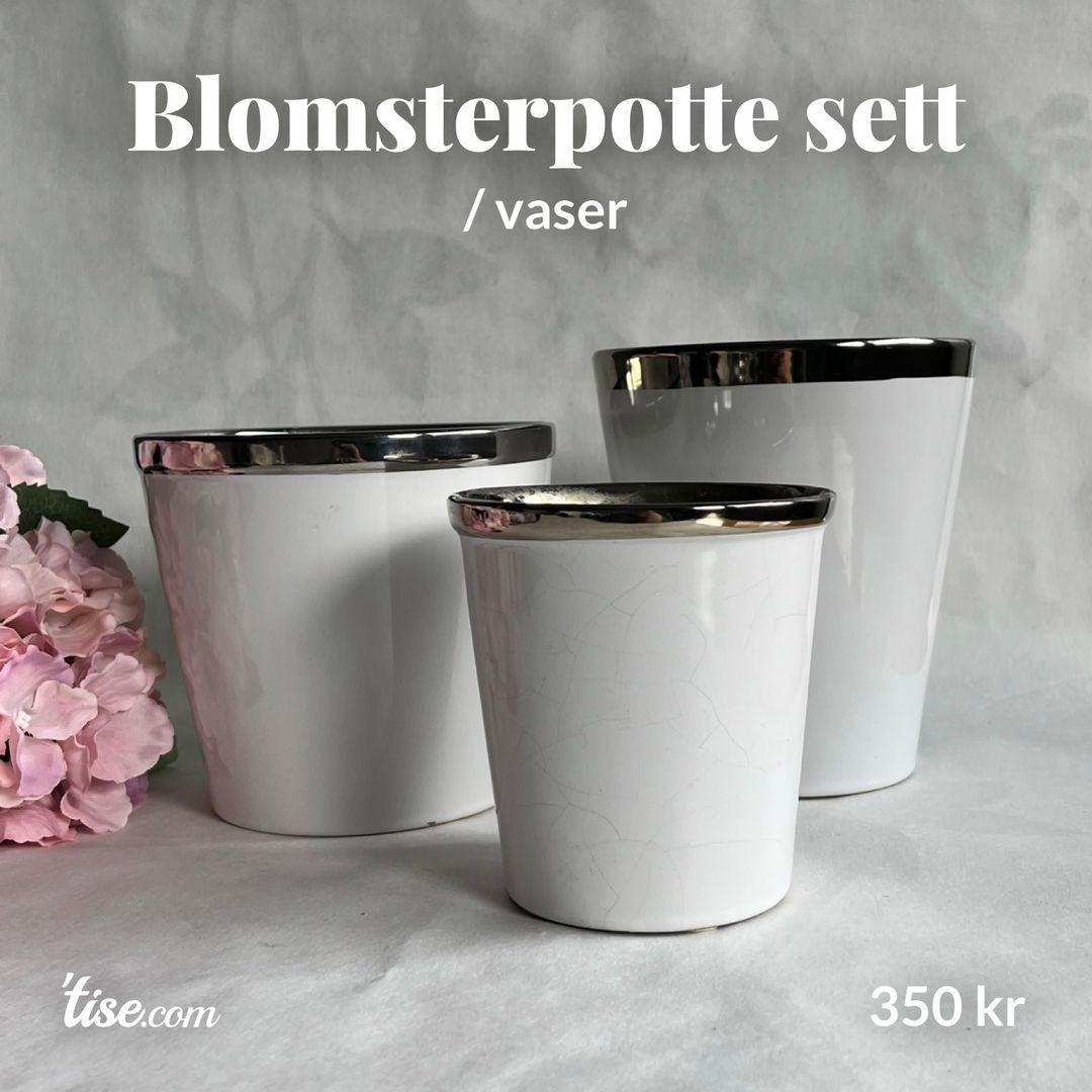 Blomsterpotte sett