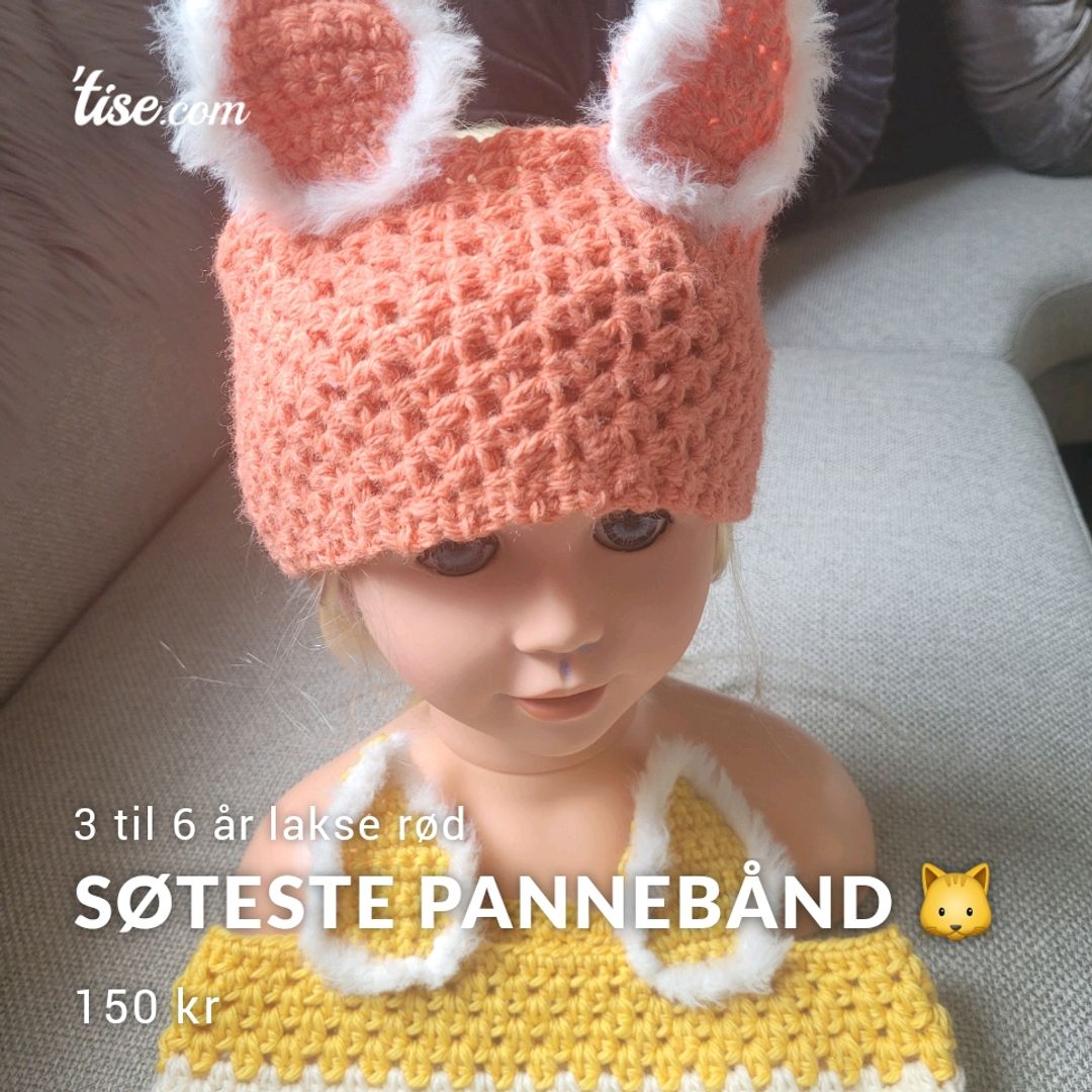 Søteste Pannebånd 🐱