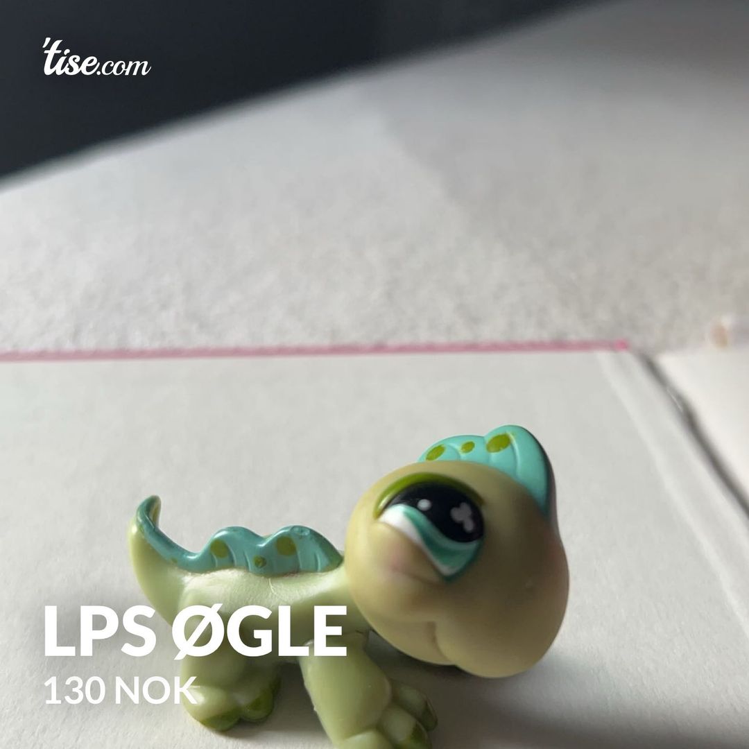 Lps øgle