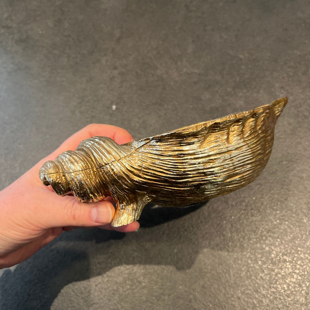 Skjellskål 🐚