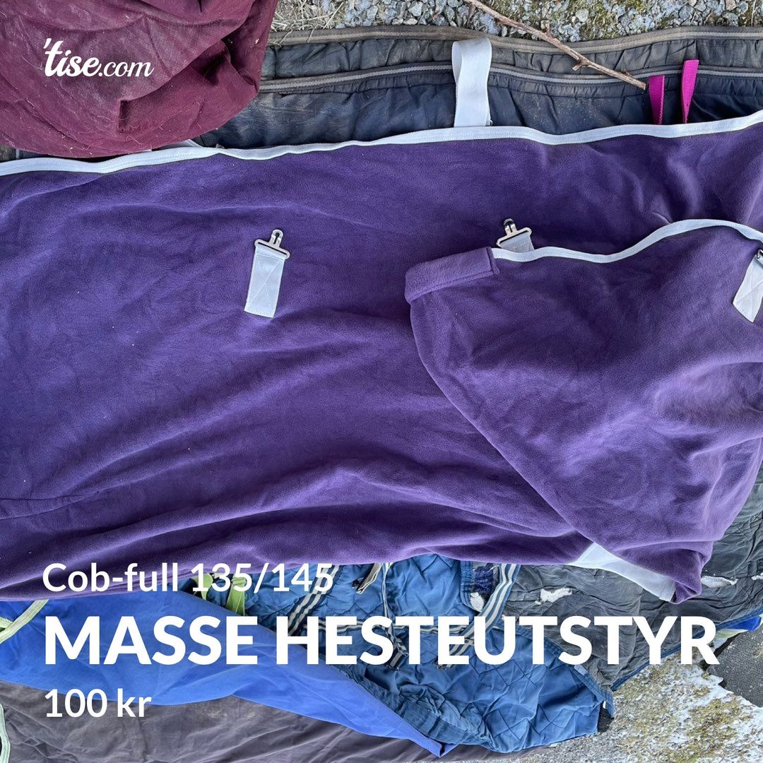 Masse hesteutstyr