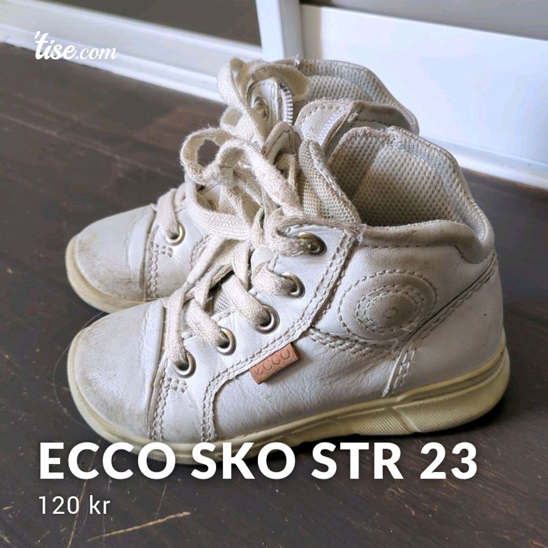 Ecco Sko Str 23