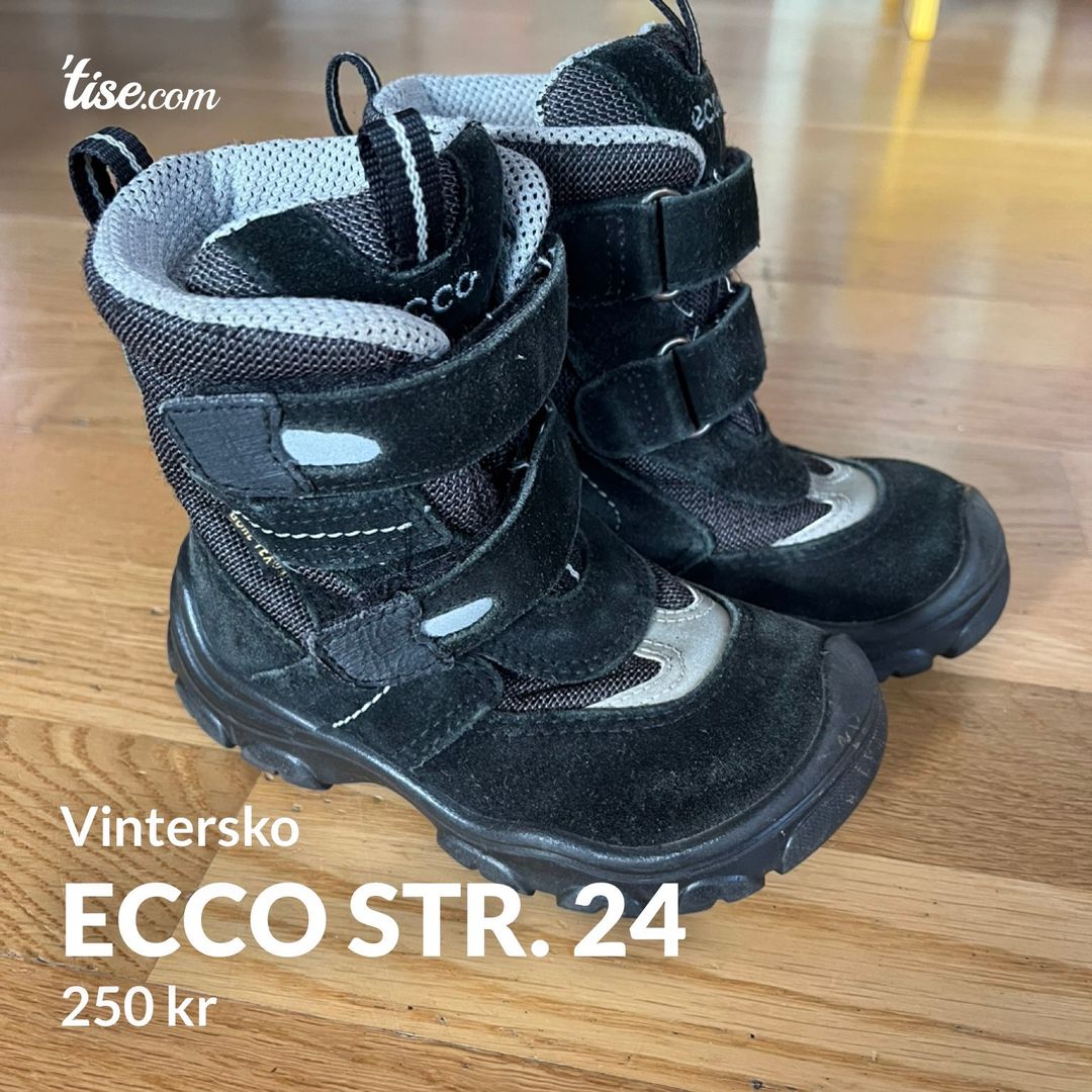 Ecco str 24