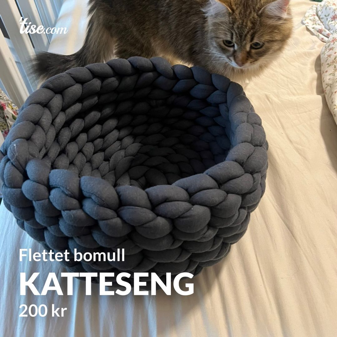 Katteseng