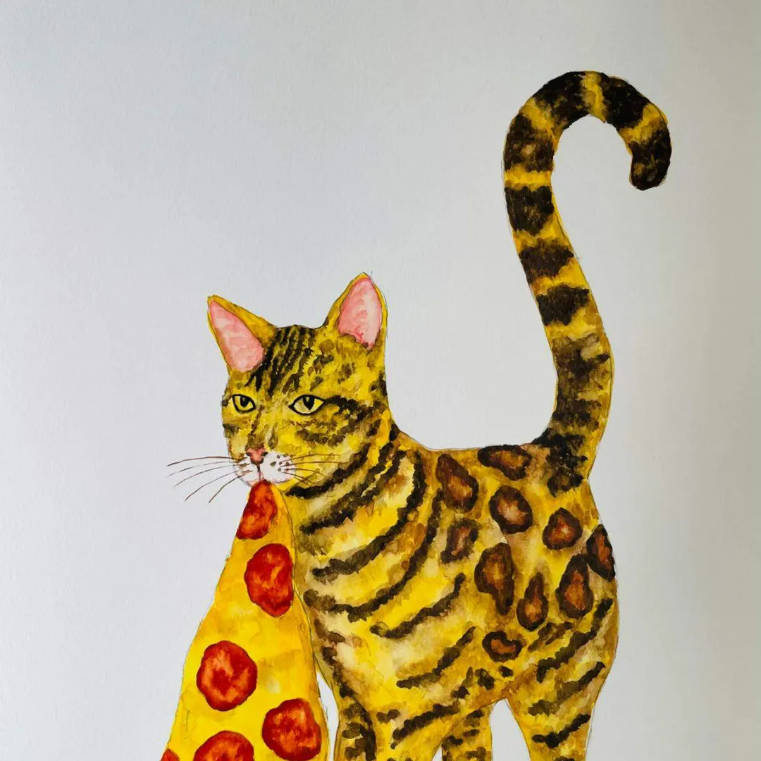 Pizza katt