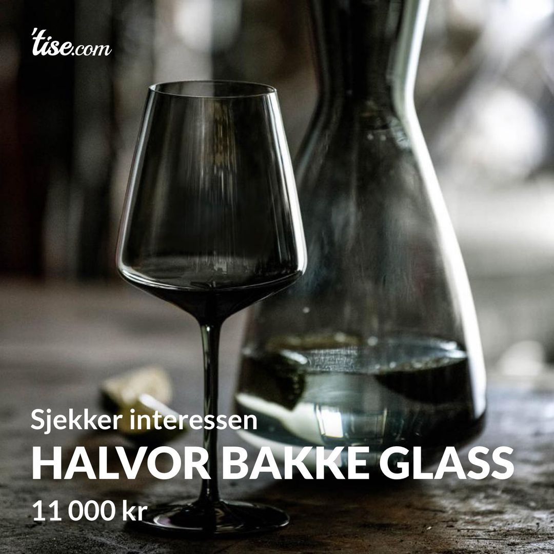 Halvor bakke glass