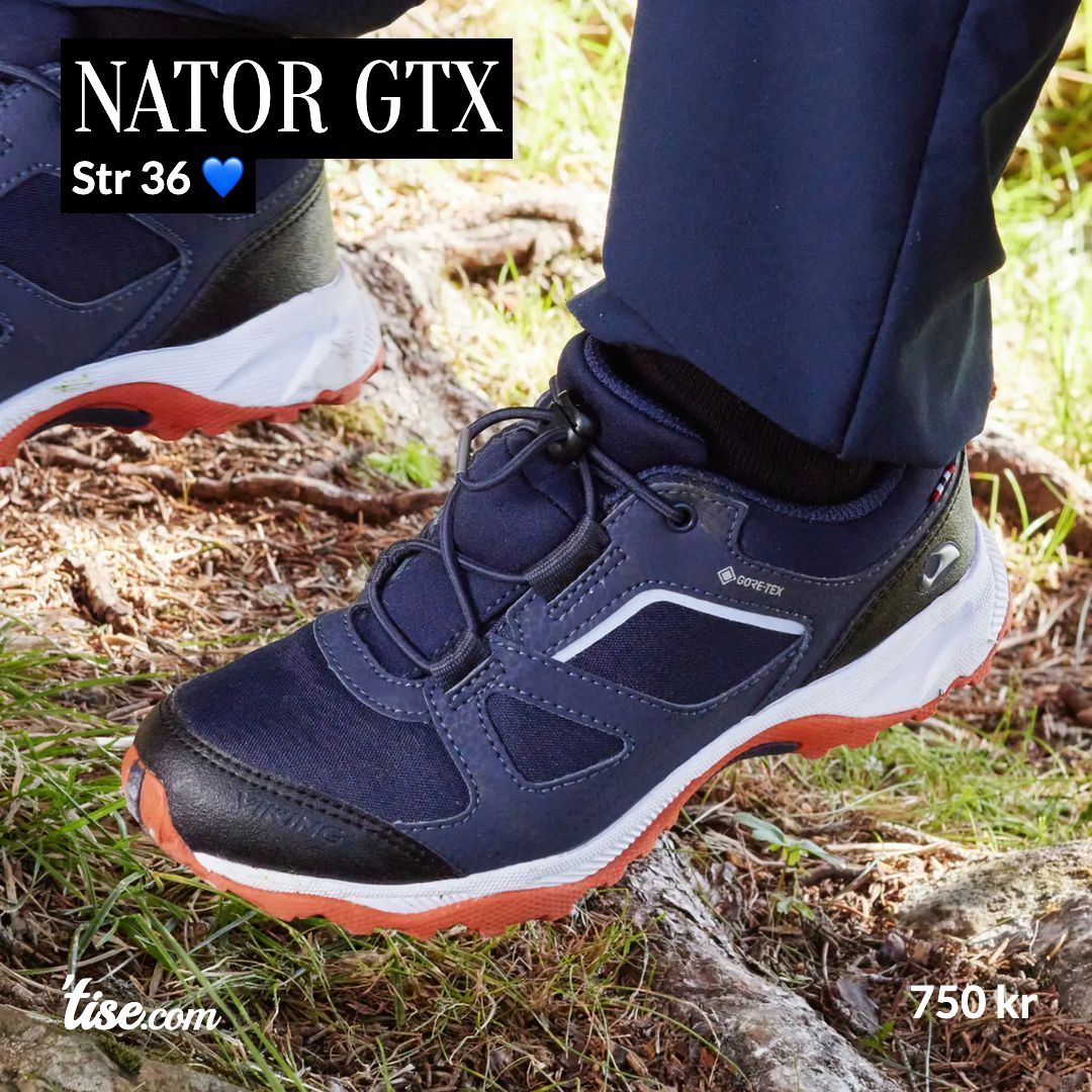 Nator GTX