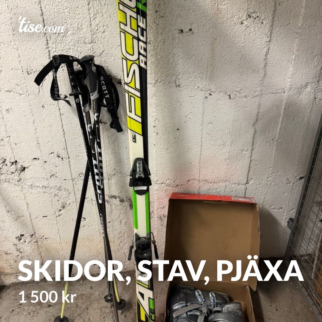 Skidor stav pjäxa