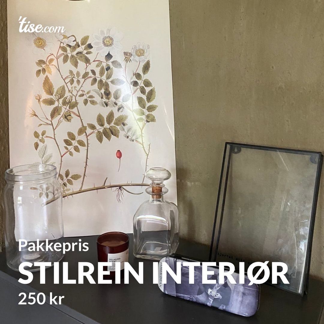 Stilrein interiør