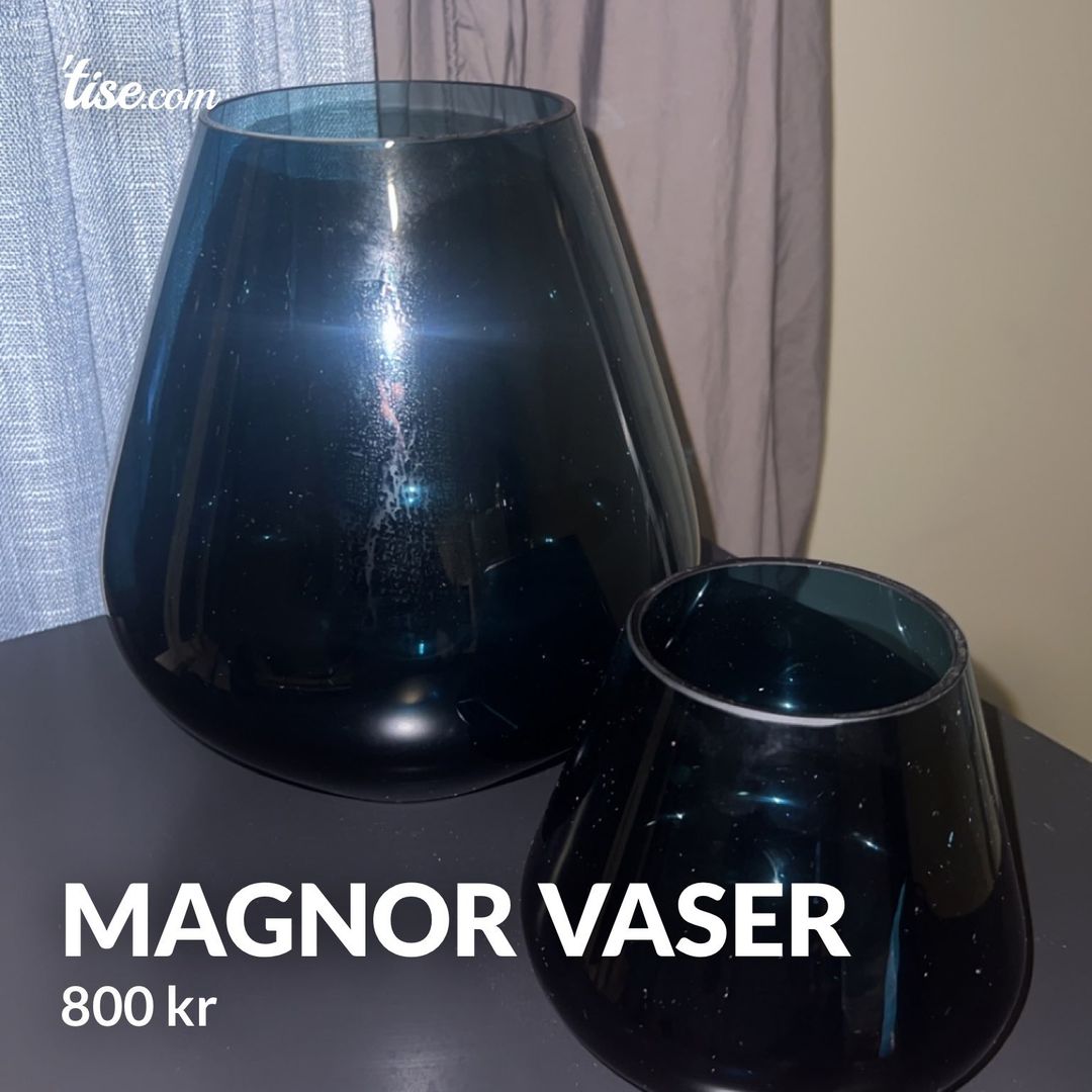 Magnor Vaser