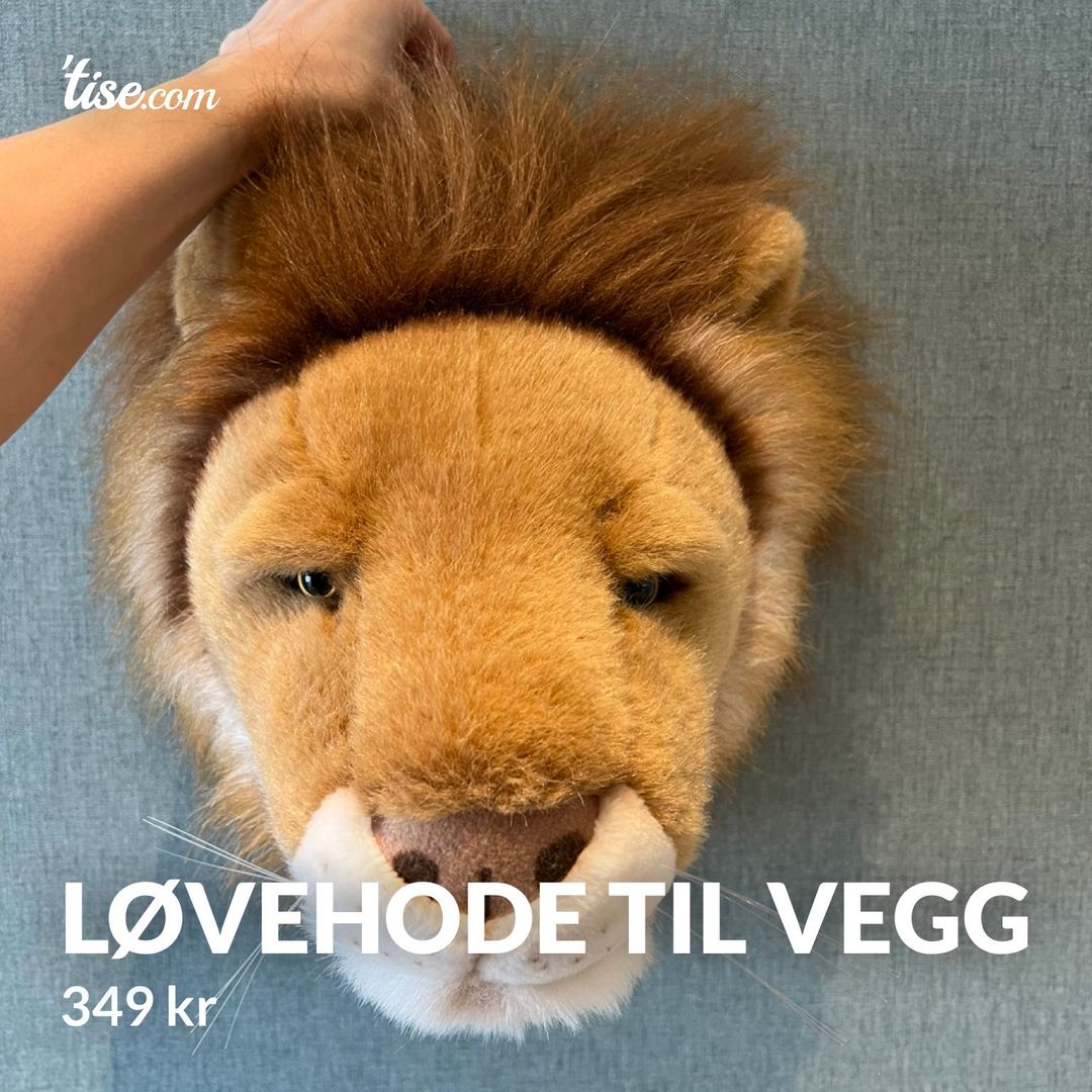 Løvehode til vegg