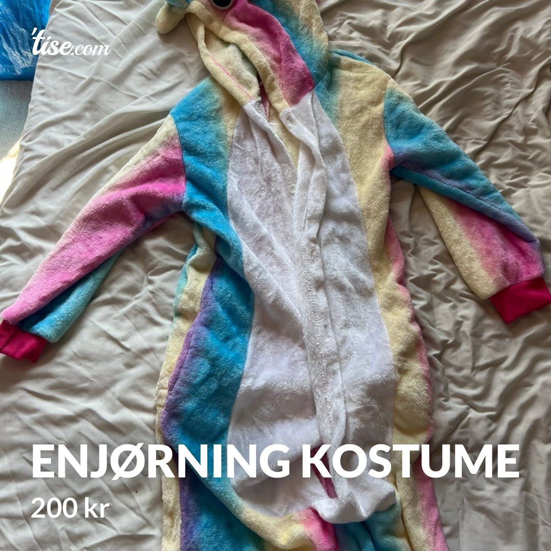 Enjørning kostume