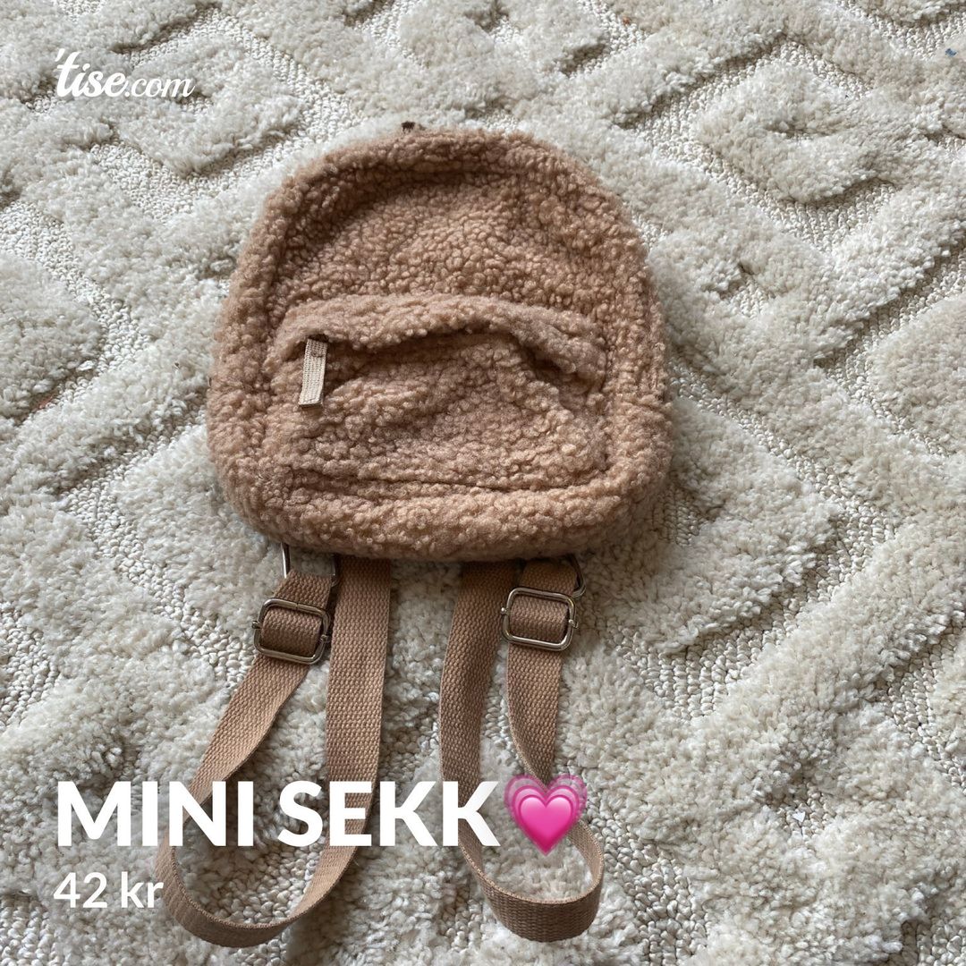 Mini sekk💗