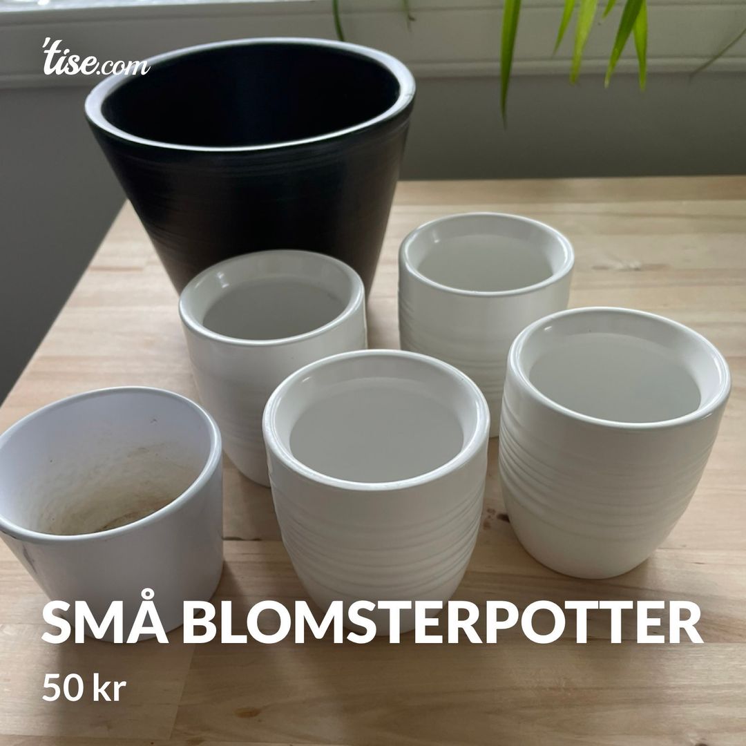 Små blomsterpotter