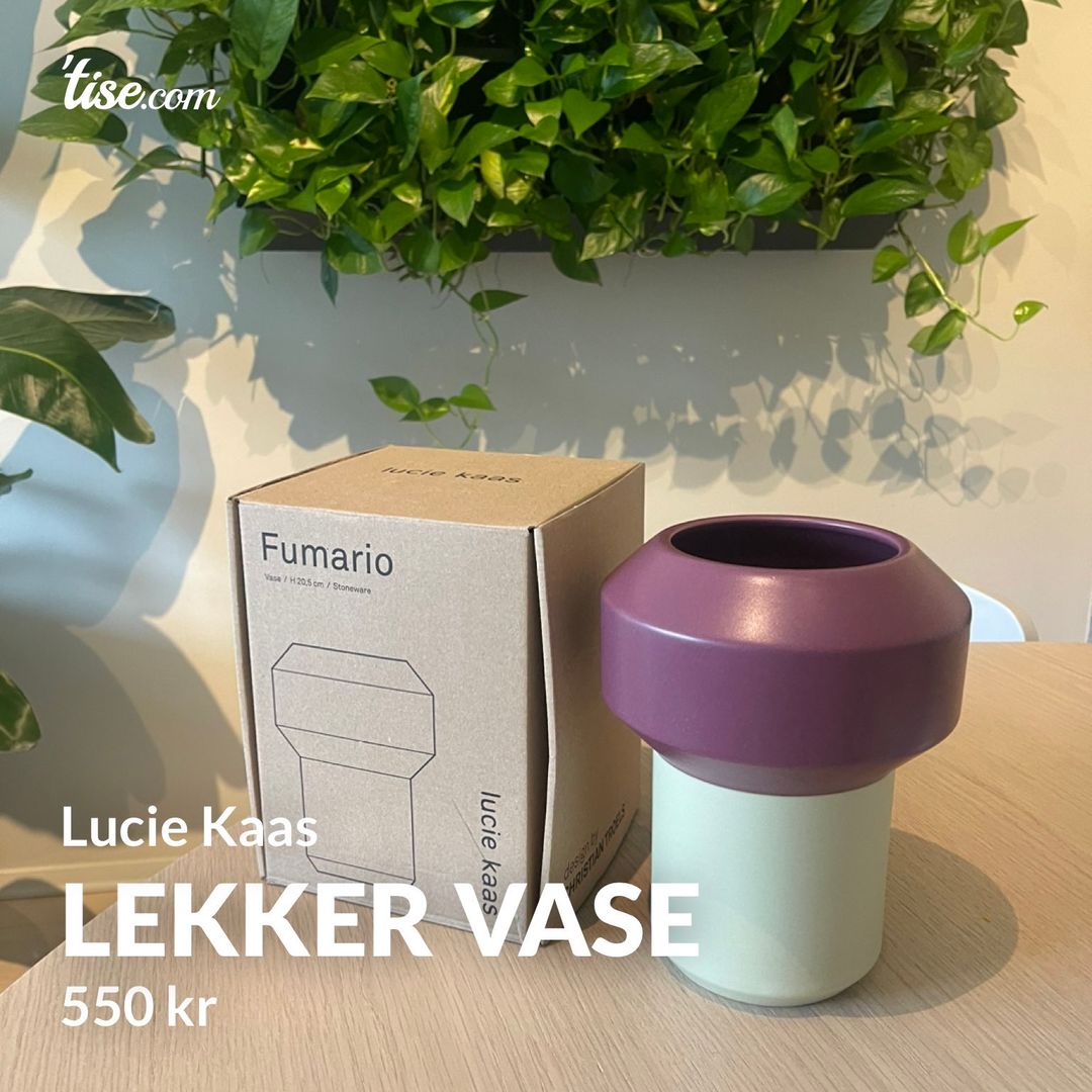 Lekker vase