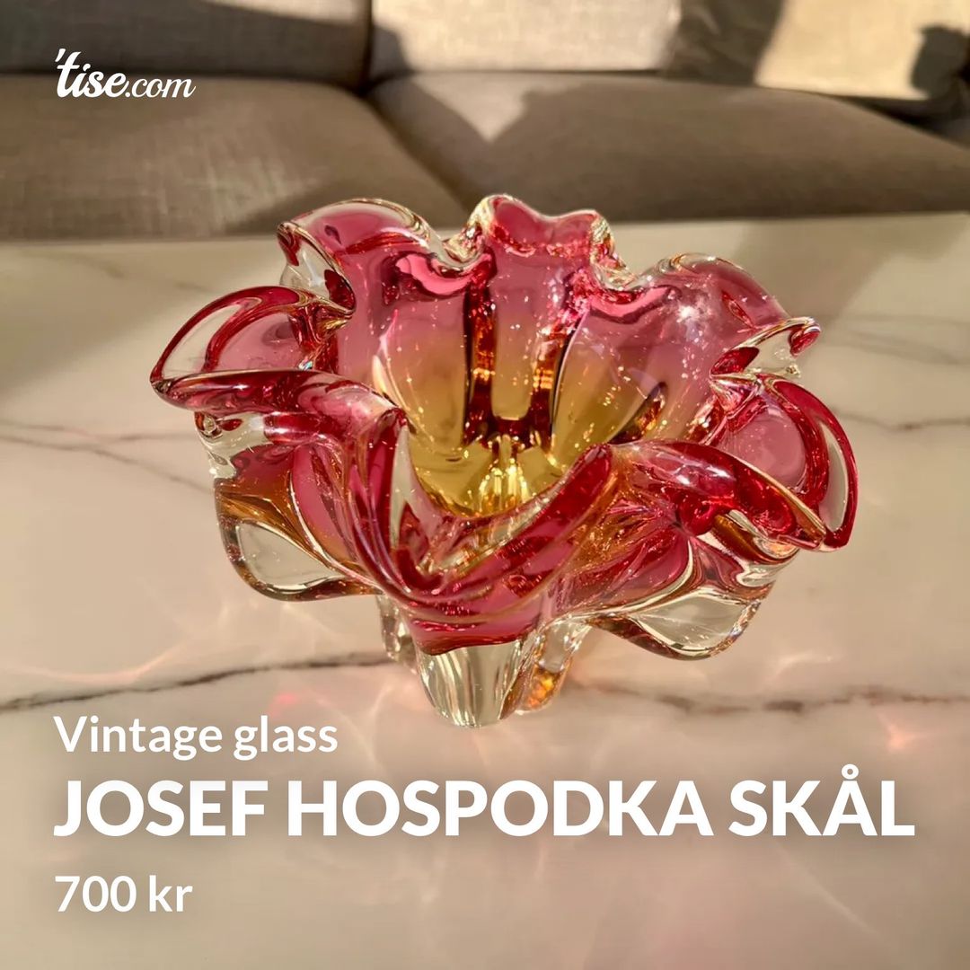 Josef Hospodka skål