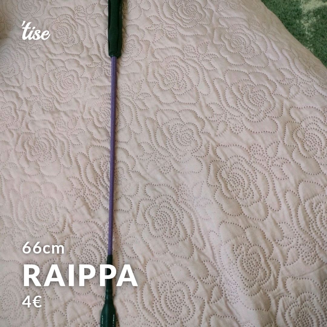 Raippa