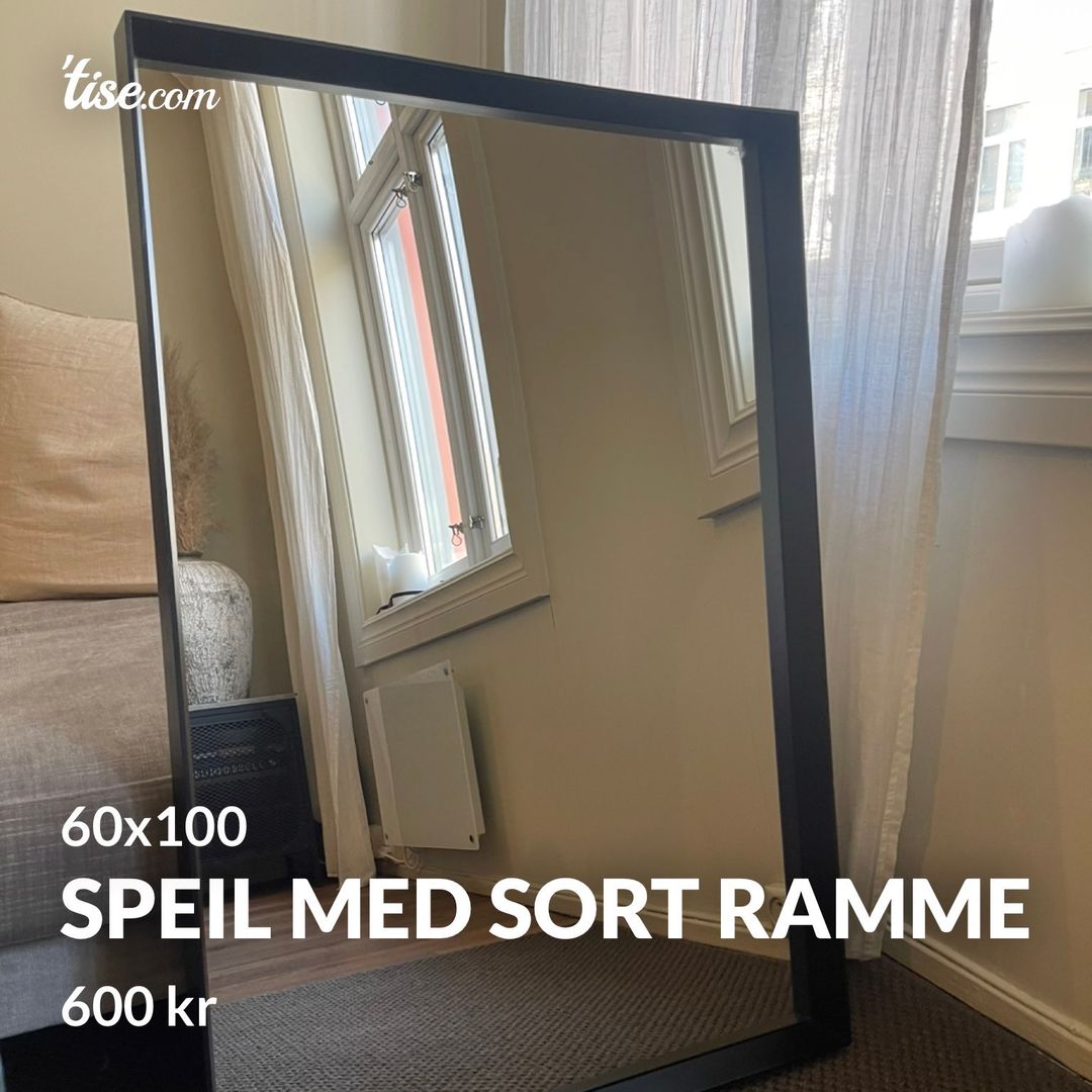 SPEIL MED SORT RAMME