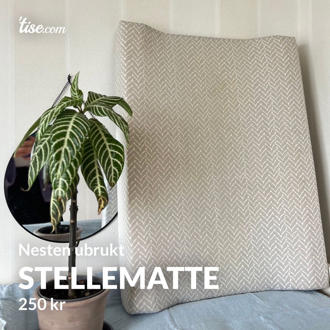 STELLEMATTE