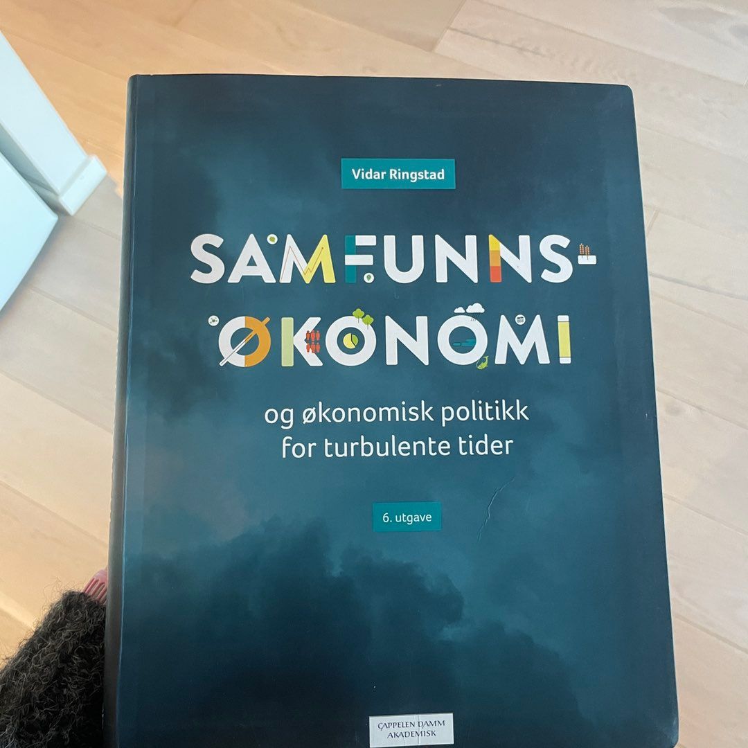 Samfunnsøkonomi