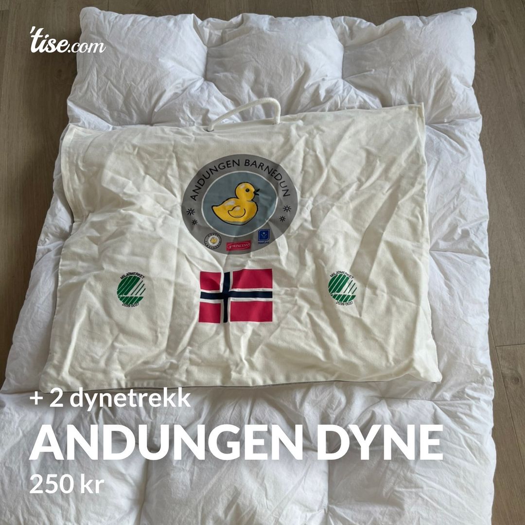 Andungen dyne