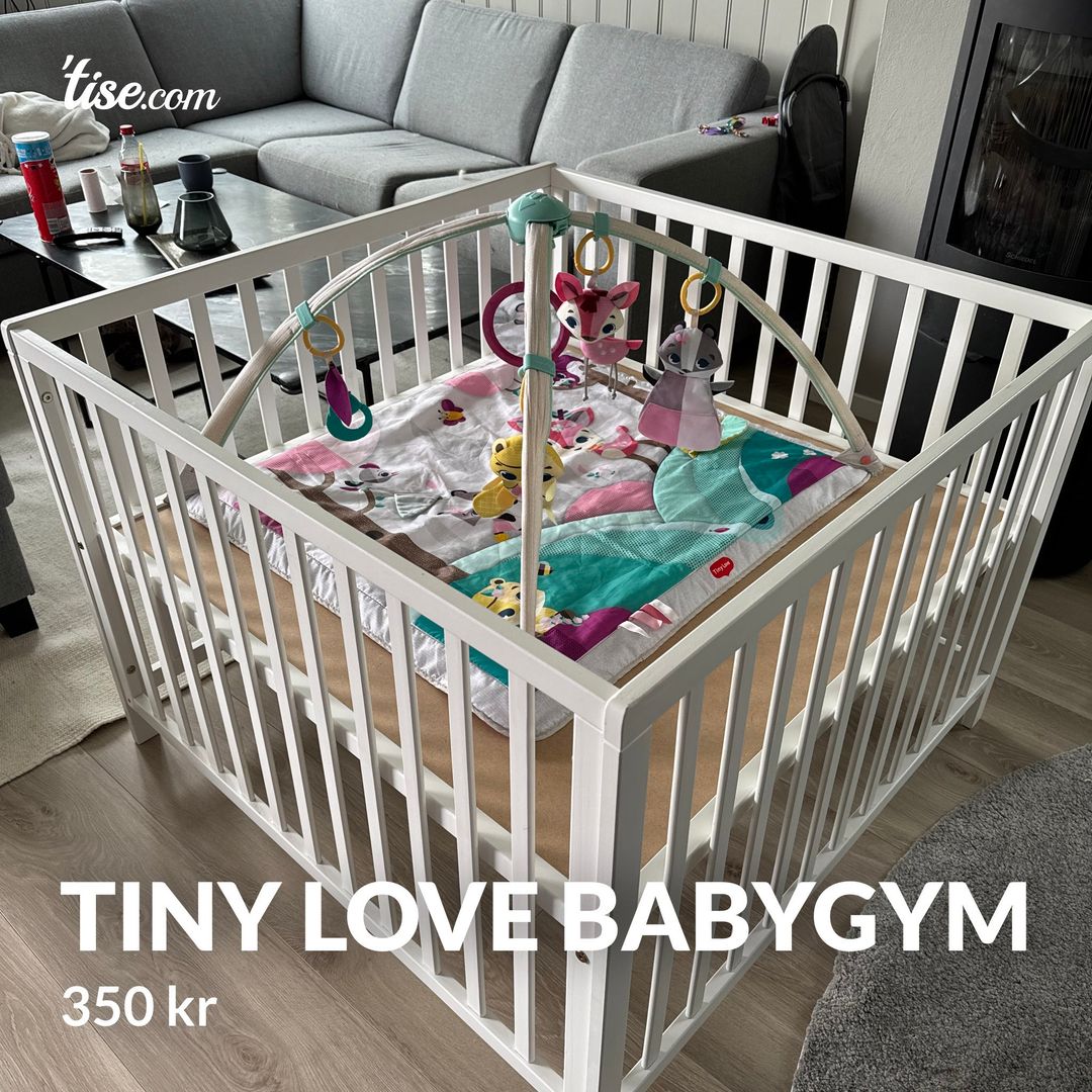 Tiny love babygym