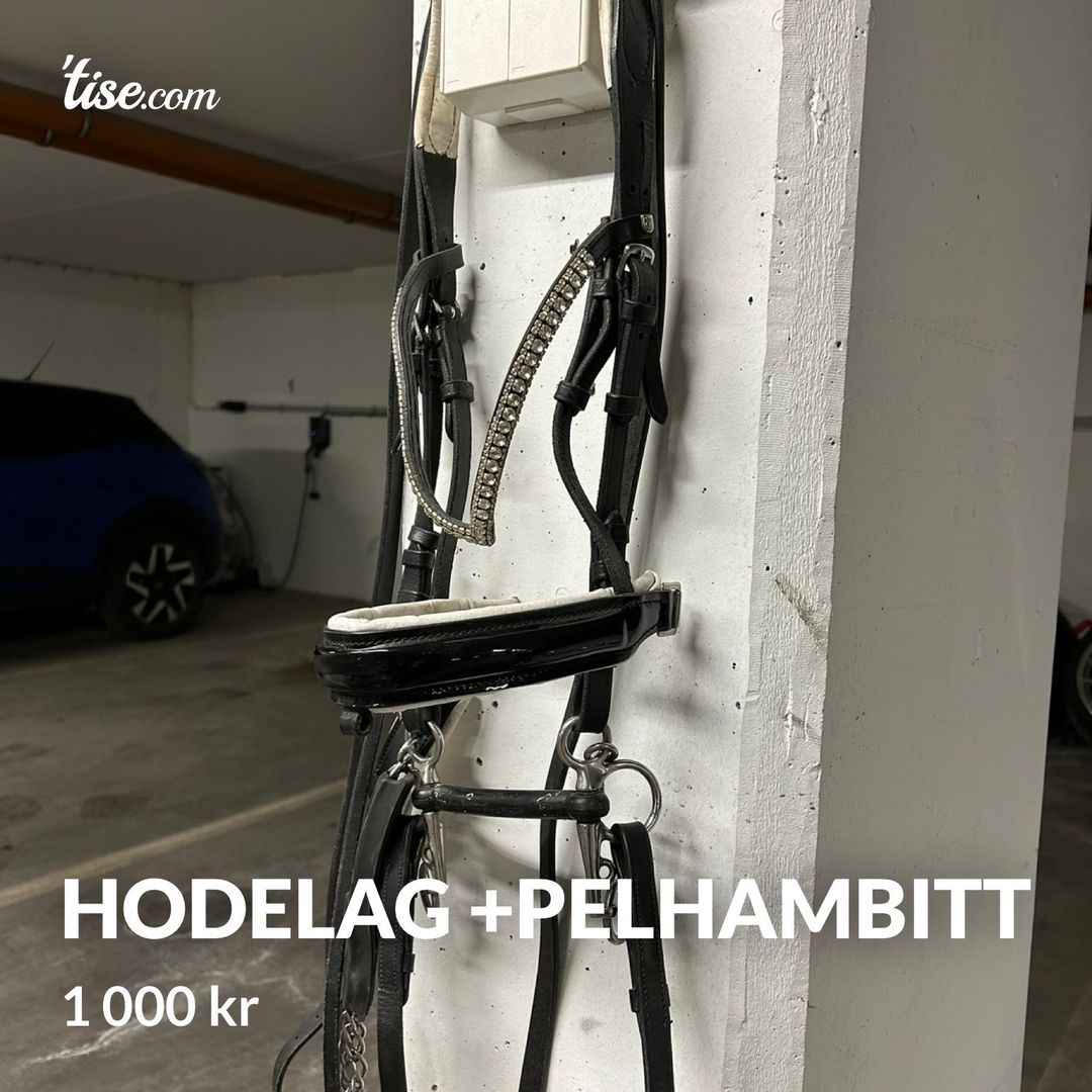 Hodelag +pelhambitt