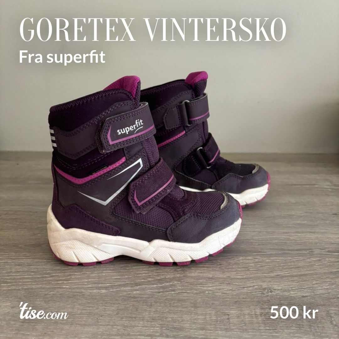 Goretex vintersko