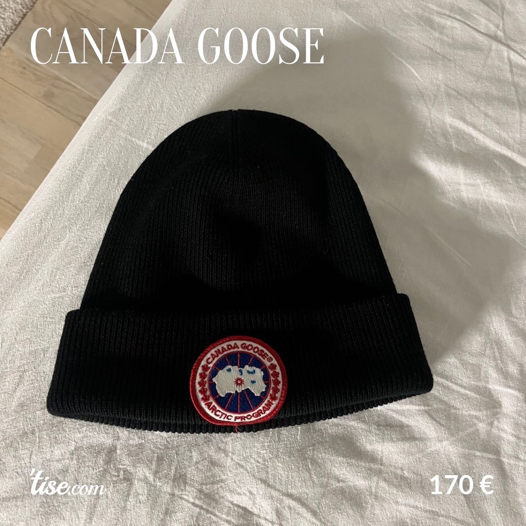 Canada Goose