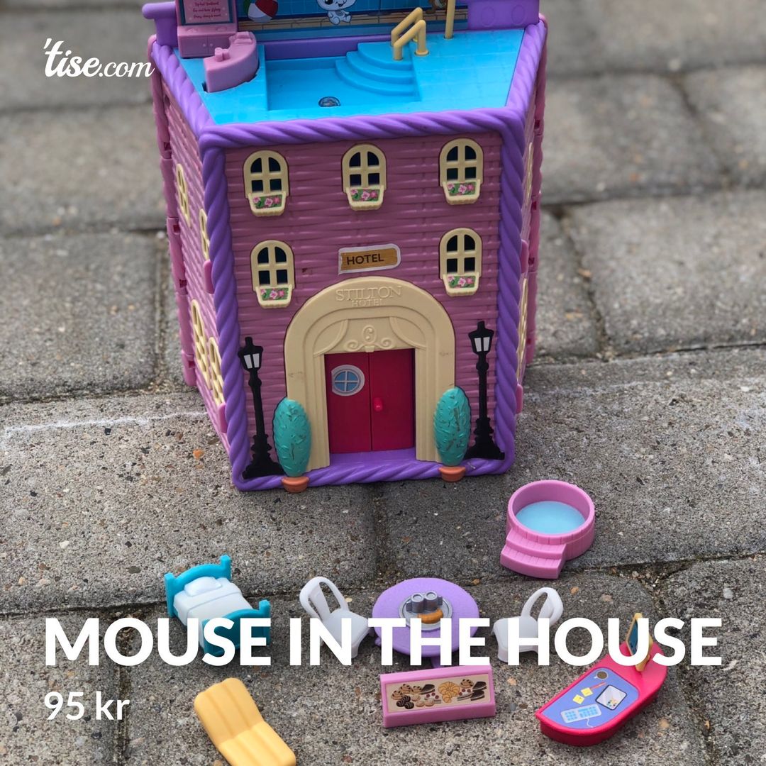 Mouse in the house