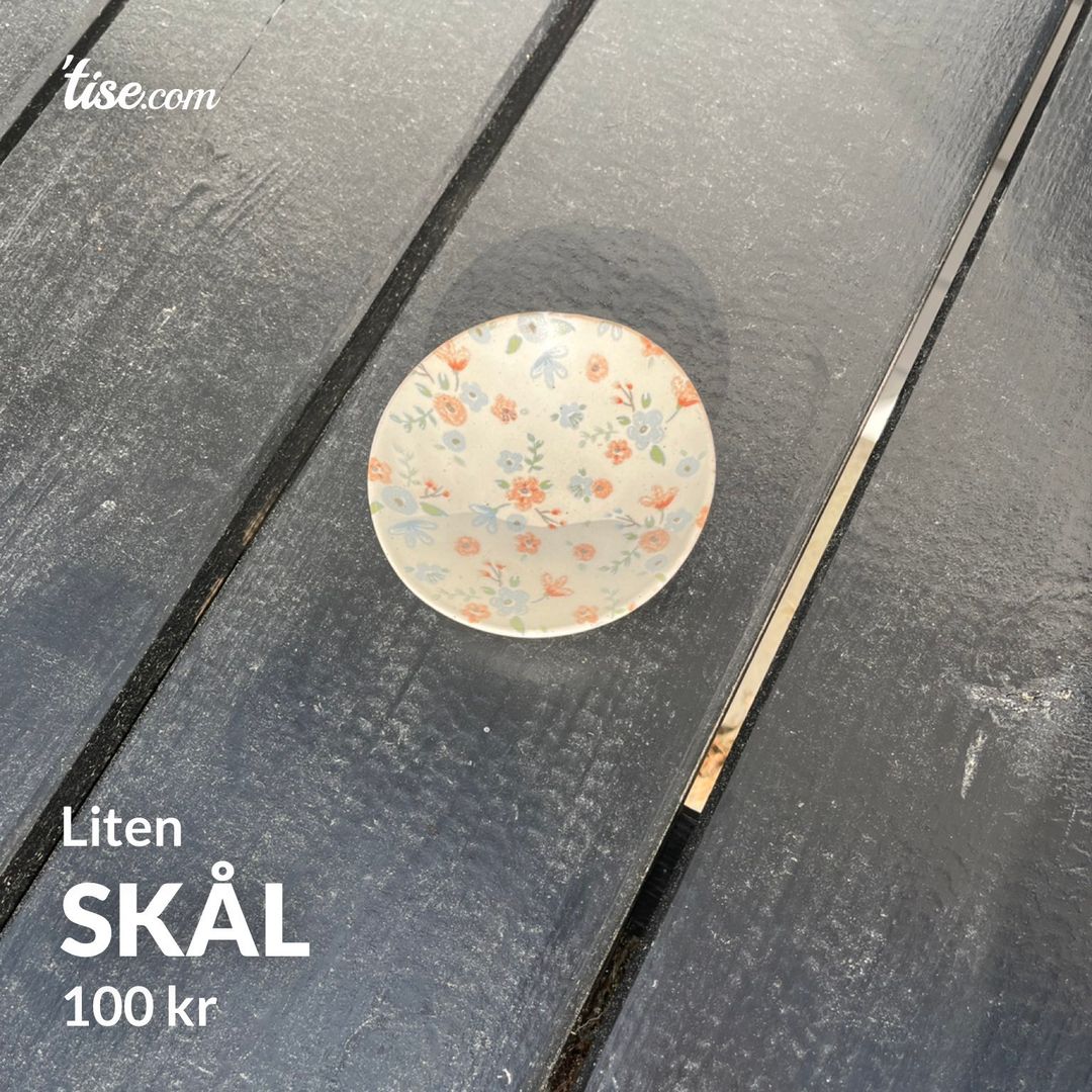 Skål