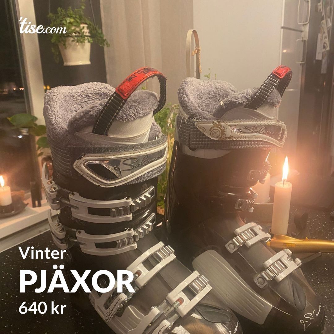 Pjäxor